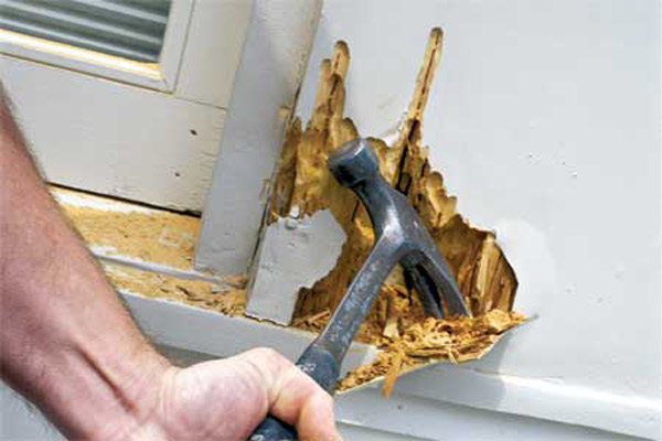 Rotten Wood Issues at Home? Get in a Professional!